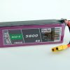 TF ECO-X 5800-4S MTAG | # 95800431