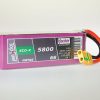 TF ECO-X 5800-6S MTAG | # 95800631