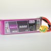TF Power-X 5000-4S MTAG | # 95000461