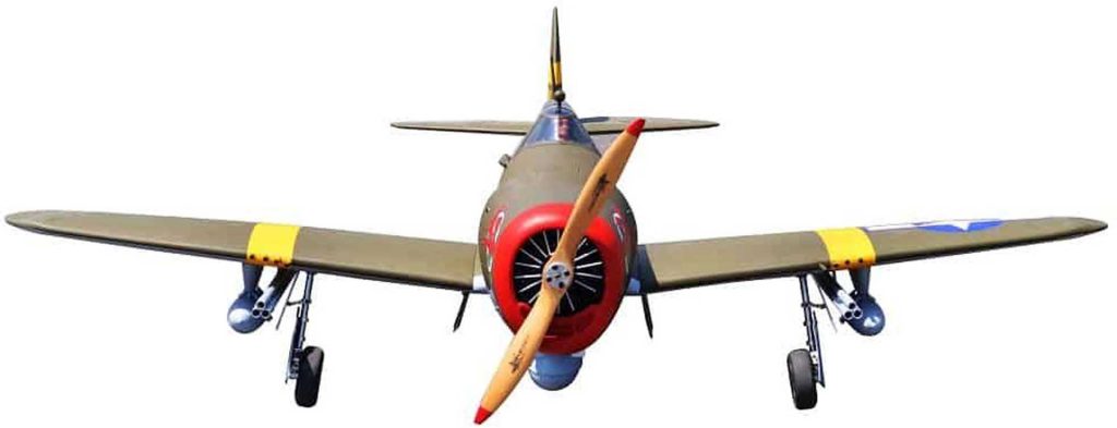 Republic P-47D Thunderbolt (ARF) Wicked Rabbit #0292303