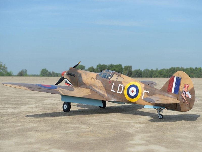 Black Horse P-40C Tomahawk / 2276mm | # C4951
