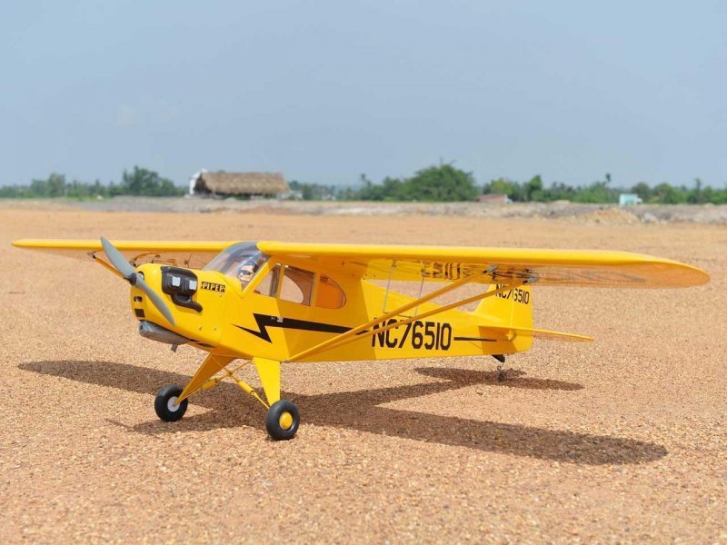 Black Horse Piper J3 Cub / 2380mm | # C4259